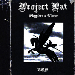 PROJECT PAT by Vizcor, Skypierr