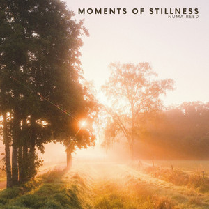 Moments of Stillness by Numa Reed