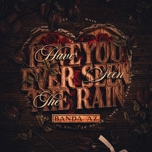 Have You Ever Seen The Rain