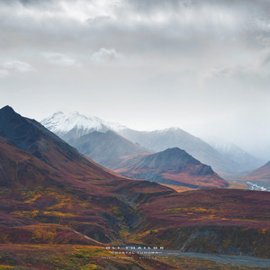 Crystal Tundra by Oli Thailor