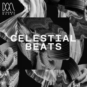 Dynamic Music - Sub Luna