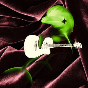 Velvet by Seasick Dolphins, Thomas Schlesag