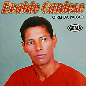 Evaldo Cardoso - Amei Demais