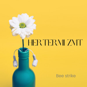 Hertermi Zmt by Bee strike