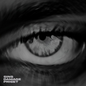 SINS by DAMAGE, PRISET