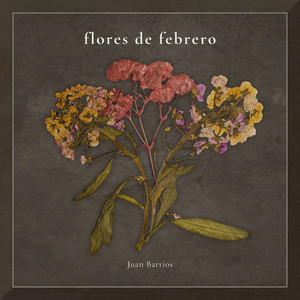 Flores de febrero by Juan Barrios