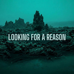 Looking For A Reason by V3lvet