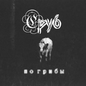 По грибы by Сруб