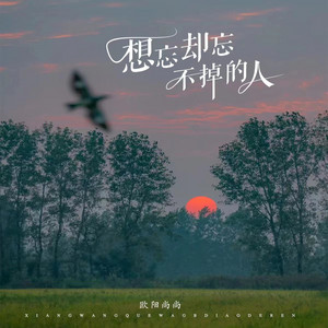 想忘却忘不掉的人 by 欧阳尚尚