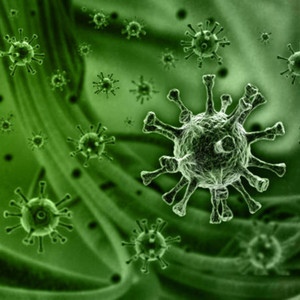 VIRUS by DMKILLA