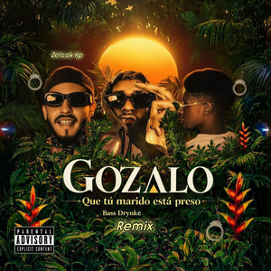 Gozalo Que Tu Marido Esta Preso - Remix by Bass Drynk, Zelcok Kp