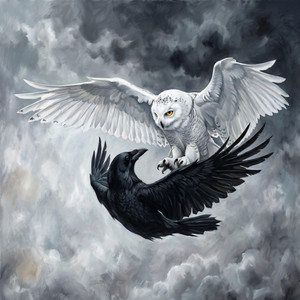 Case by Acheron
