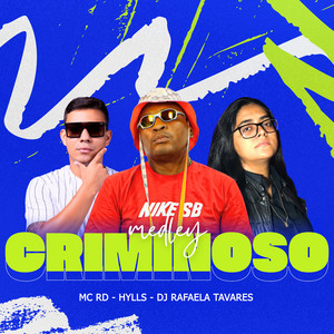 Hylls, Mc Rd & Dj Rafaela Tavares - Medley Criminoso (ORIGINAL)
