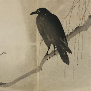 Fripp at Guadalupe by R C Rupley