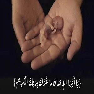 Islam Khalil Islam - يا أيها الإنسان ما غرك بربك الكريم