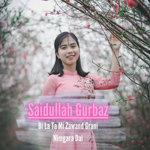 Saidullah Gurbaz - Da ZAwani Wakhta Rabandi Tir Sho