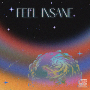 FEEL INSANE