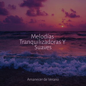 Melodías Tranquilizadoras Y Suaves