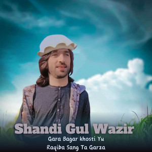 Shandi Gul Wazir - Gara Bagar khosti Yu Raqiba Sang Ta Garza