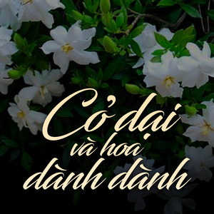 Đặng Thanh Tuyền, CaoTri & meChill - Cỏ Dại Và Hoa Dành Dành (Lo-Fi Version 2)