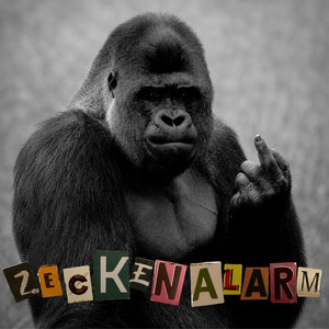 Hör nicht zu