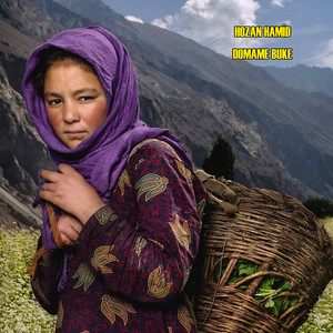 Hozan Hamid - Vaylımın