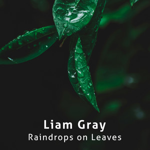Raindrops on Leaves by Liam Gray