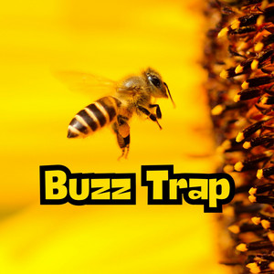 Buzz Trap by Nirdy
