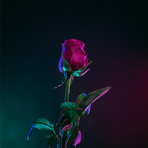 Janam Janam (Instrumental Cover)