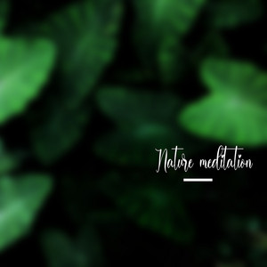 Cloud9 Studio - Nature Meditation