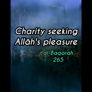 2, Surah Al-Baqarah: 265 by mylordtakemeaway
