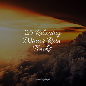25 Relaxing Winter Rain Tracks album