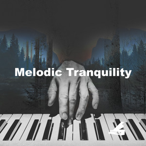 Melodic Tranquility