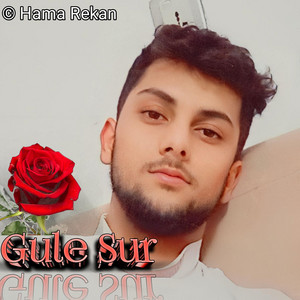 Hama Rekan - Gule Sur