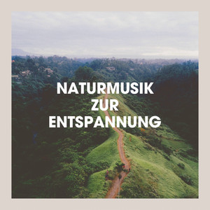 Naturmusik Zur Entspannung album