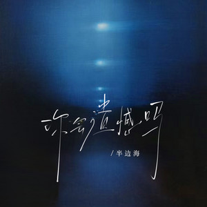 你会遗憾吗 (节奏氛围版) - 宿命版 by 半边海