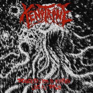 Desecration in Kharkiv (Live at DRUK)
