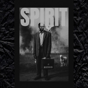 Boi skiid - SPIRIT