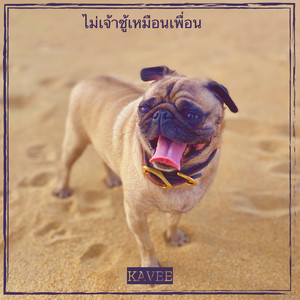 KAVee - ไม่เจ้าชู้เหมือนเพื่อน