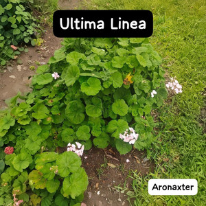 Ultima Linea by Aronaxter
