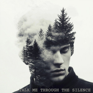 Talk Me Through the Silence by The Feels