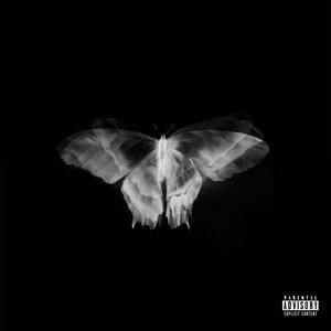 Butterfly Doors by Onlybino!