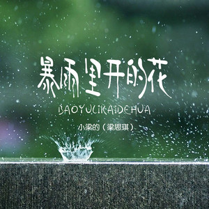 暴雨里开的花（DJ Eva版） by 小梁的