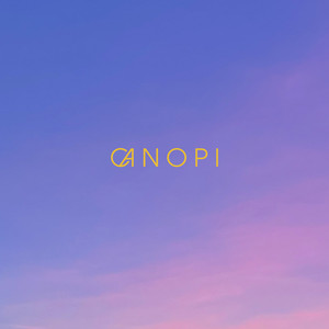Canvas - Rain by Canopi