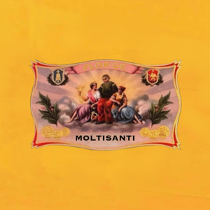 C.O.S.A. - Flor de Moltisanti