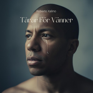 Tårar För Vänner by Roberto Xalino