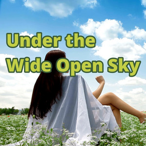 Under the Wide Open Sky by 2strings