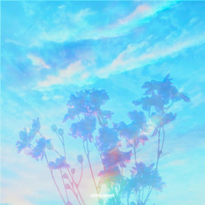 Blossom