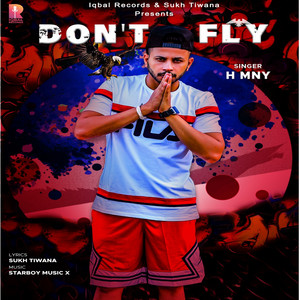 H MNY - Don't Fly