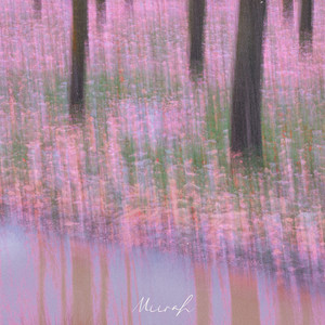 Plum Blossom River by Miirah